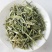 无硫穿心莲中药材500克新货川心连苦胆草穿心莲中草药