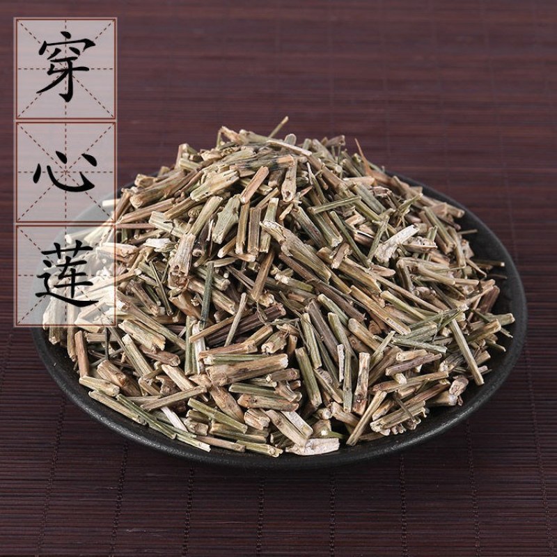 无硫穿心莲中药材500克新货川心连苦胆草穿心莲中草药