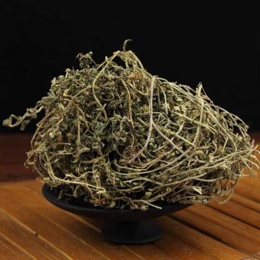 鹅不食草50克正品中药材鹅不食草野生新鲜干鹅不食草