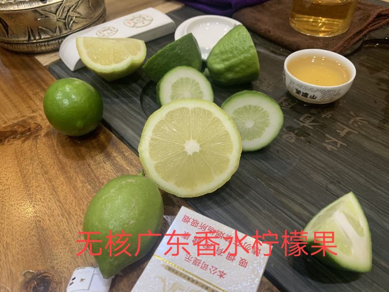 广东无核香水柠檬苗，四季开花结果，家庭果园清香无核水分足