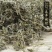 藤茶莓茶正品保证质量无理由退货退款干净无杂质