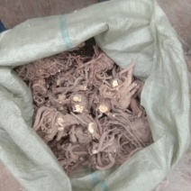 出售肉独活，统货大货供应，产地直发，量大价优，欢迎进店
