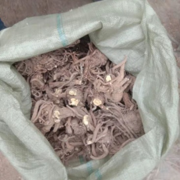 出售肉独活，统货大货供应，产地直发，量大价优，欢迎进店