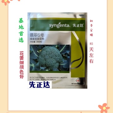 翡翠6号绿花菜种子翡翠9号西兰花蔓陀绿青花菜冬灵西兰花耐