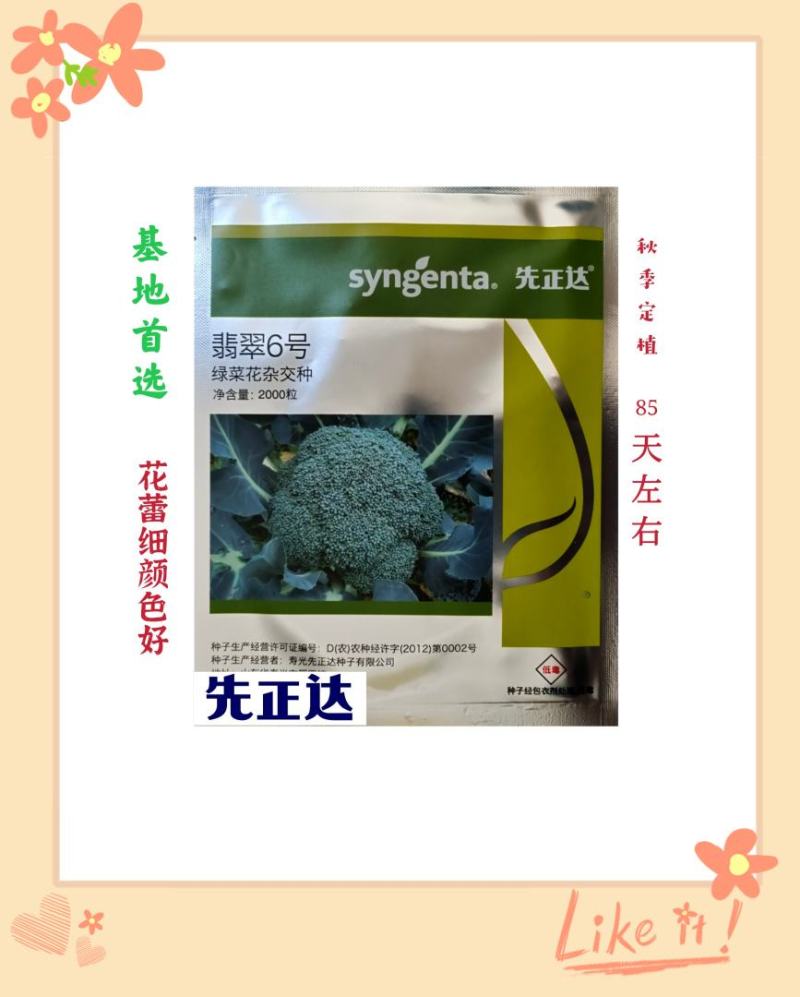 翡翠6号绿花菜种子翡翠9号西兰花蔓陀绿青花菜冬灵西兰花耐