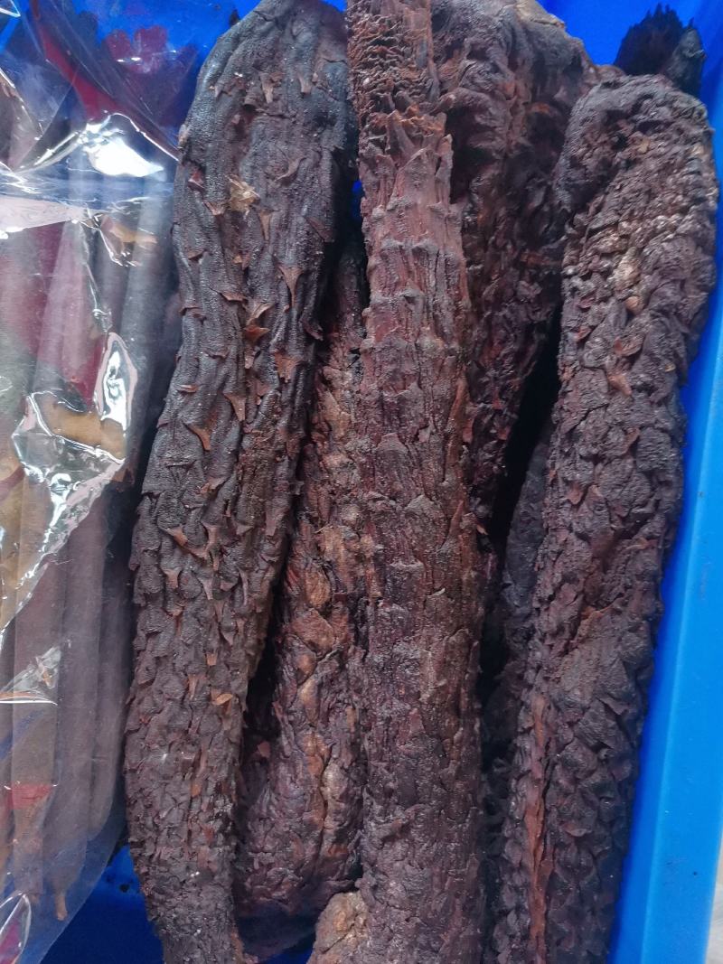优质新疆内蒙肉苁蓉软个硬个条子切片规格齐全