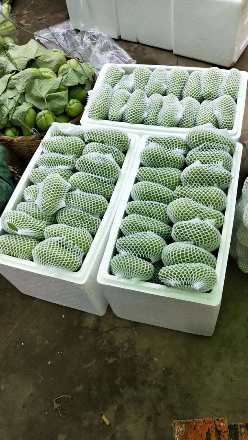 佛手瓜