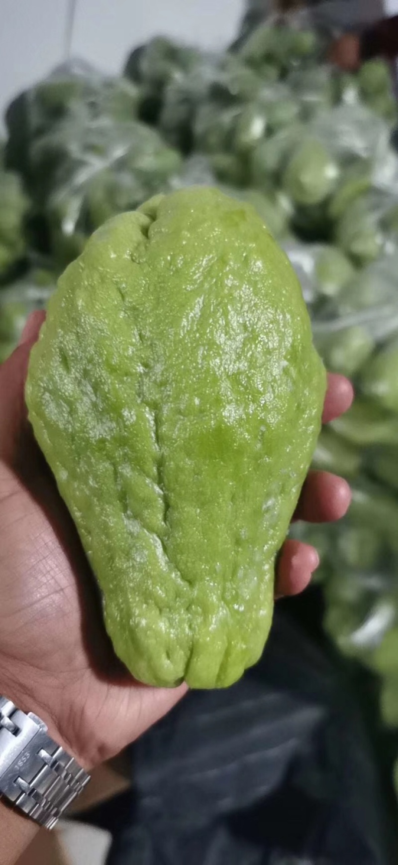 佛手瓜