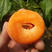 金太阳杏，菜籽黄杏，量大从优，果农种植。