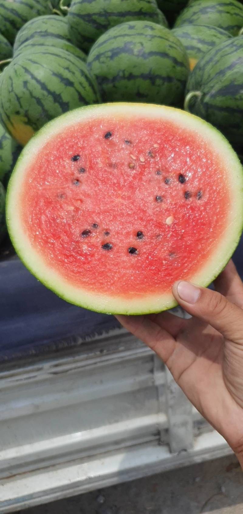 西瓜