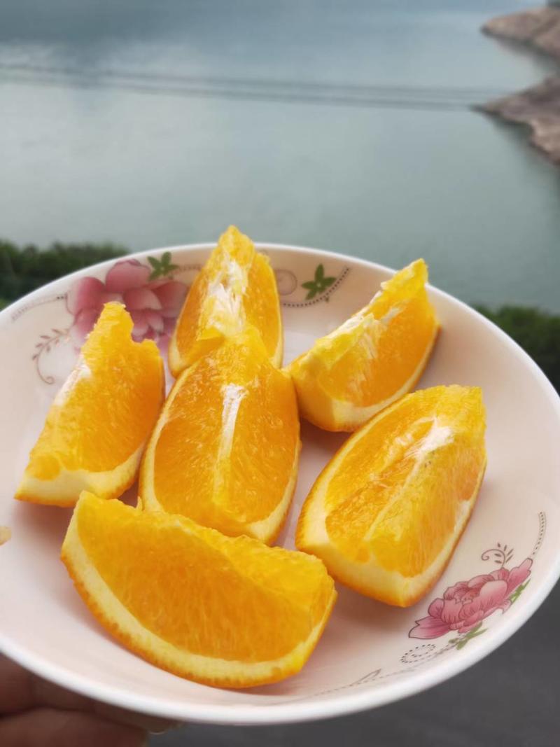 九月红果冻橙果园基地直销入口化渣口感纯甜