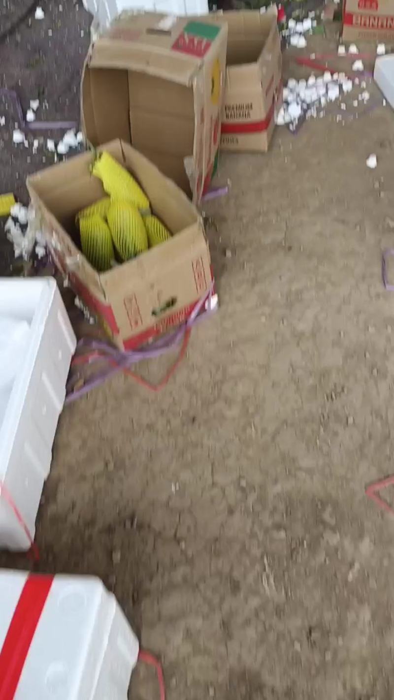 各种博阳甜永