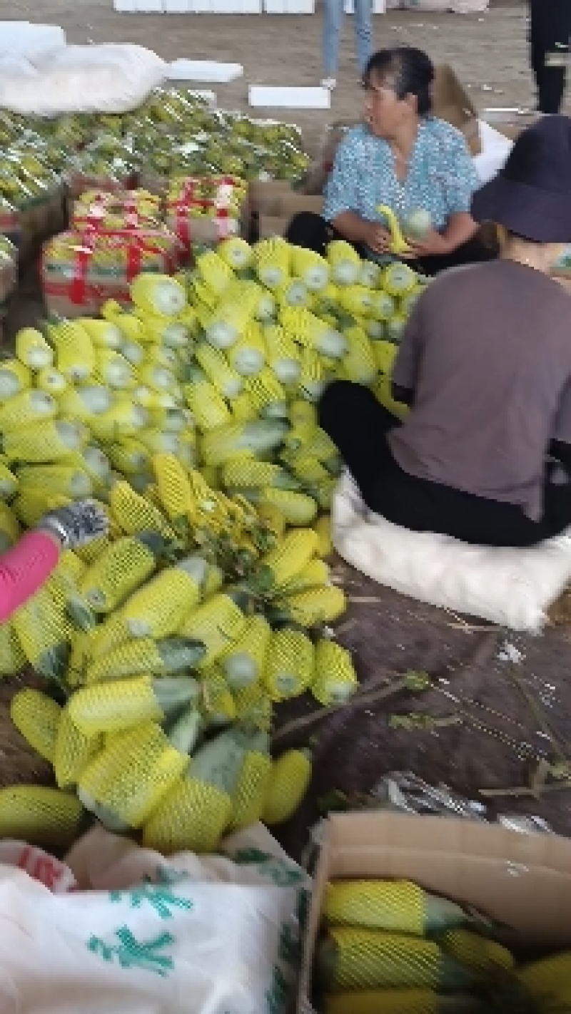 各种博阳甜永