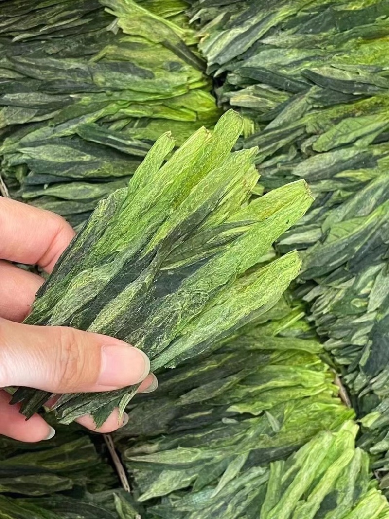 太平猴魁，新茶单枝太平猴魁，礼盒装太平猴魁