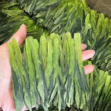 太平猴魁，新茶单枝太平猴魁，礼盒装太平猴魁