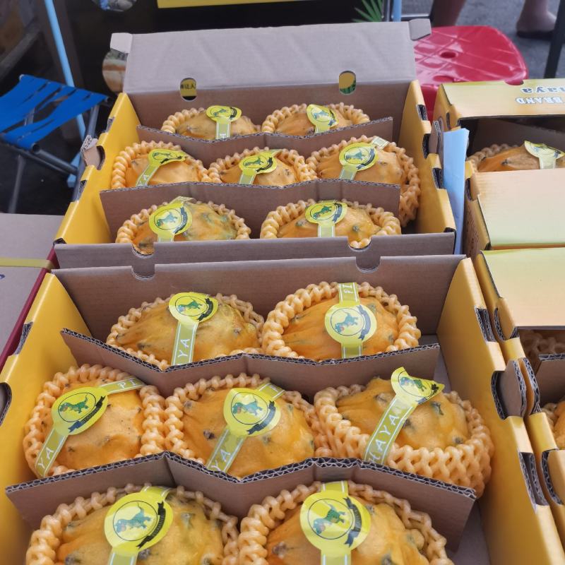 【广州市前几名】精品高端麒麟果燕窝果大果5-8个