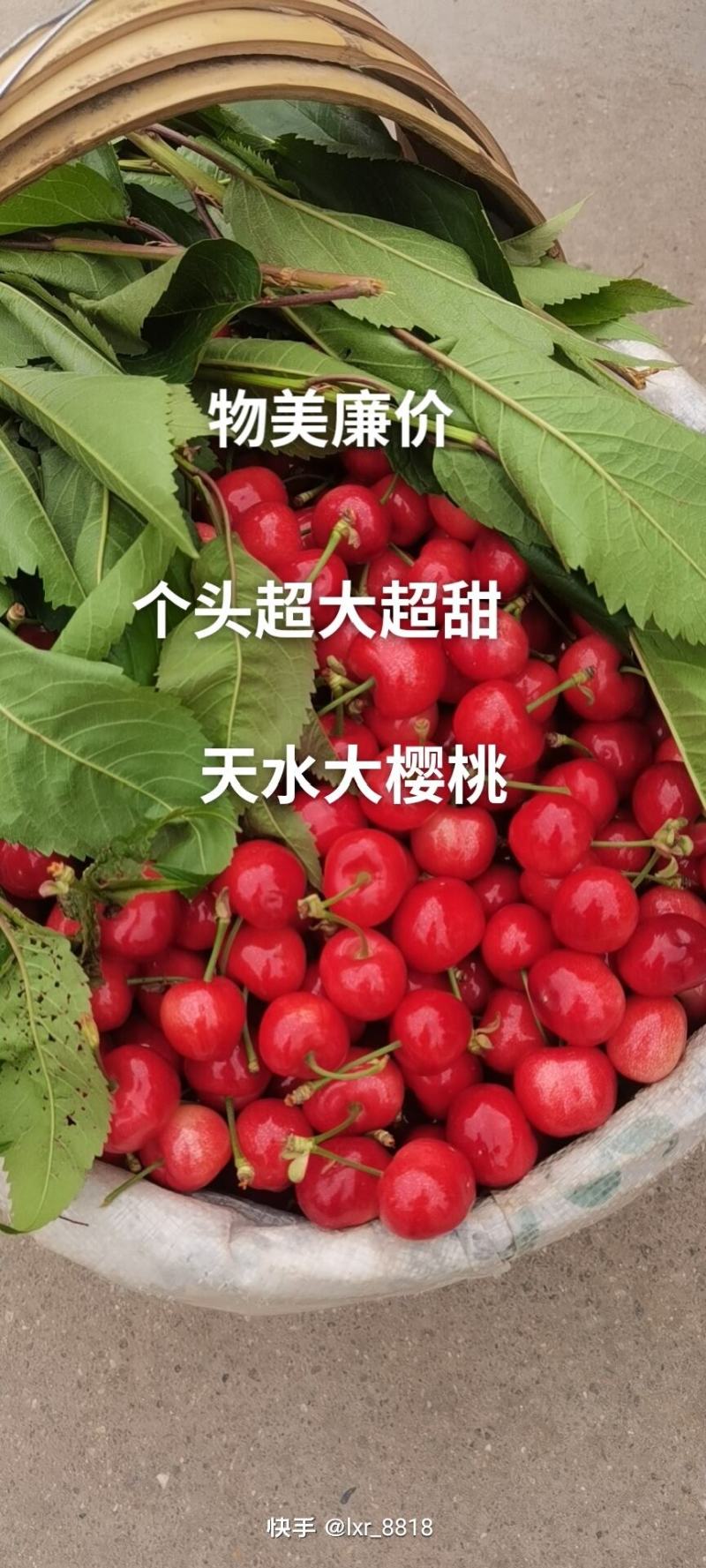 大樱桃车厘子