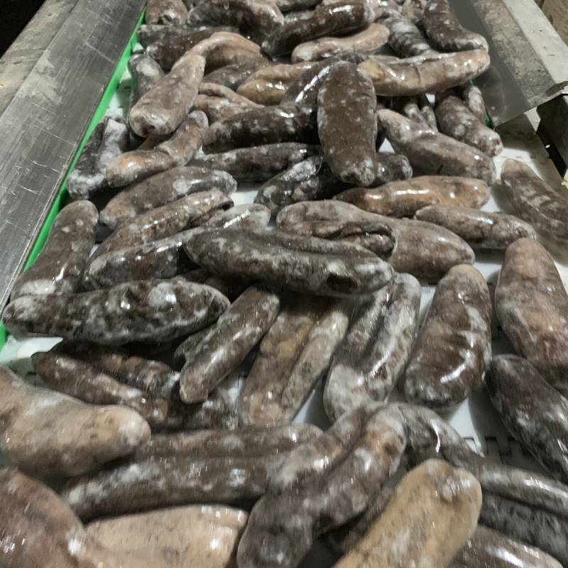 乌参海参圈电商微商社区团购厂家直销工厂供货贴牌