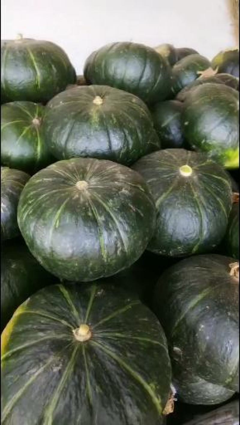 南瓜大量上市