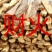 户外烧烤野炊露营篝火壁炉灶台干柴硬杂木松木柴火烧柴木头