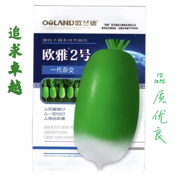 欧雅2号萝卜种子绿萝卜青萝卜欧雅二号蔬菜种子欧雅一号韩国