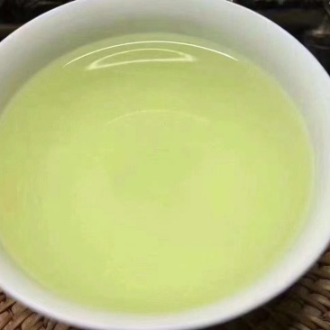 铁观音安溪铁观音茶叶清香型铁观音新枞铁观音