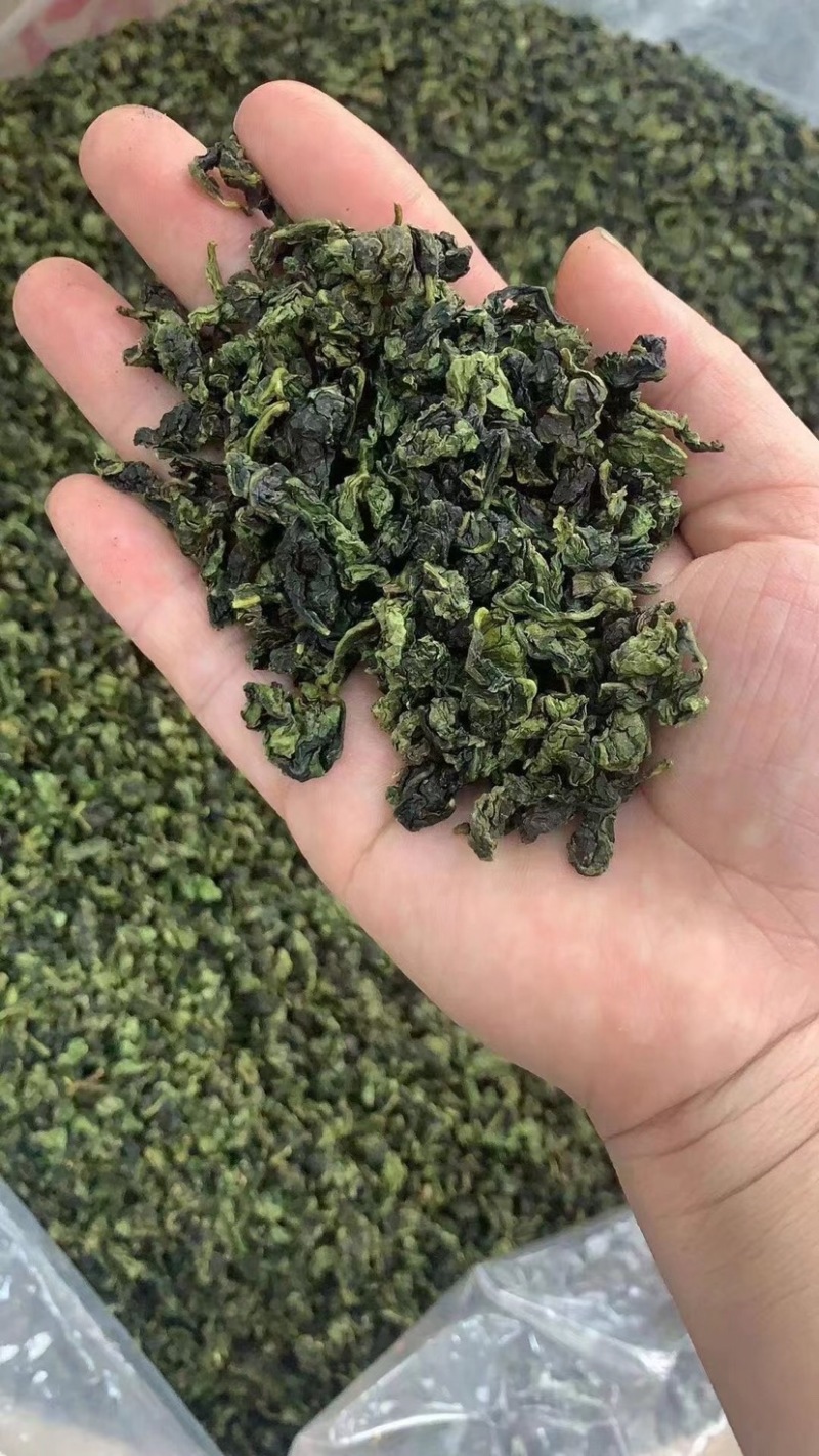 铁观音安溪铁观音茶叶清香型铁观音新枞铁观音