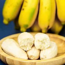 一件代发【香甜小米蕉】对接电商微商社群团购香蕉