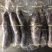 鲜蒸海参大乌参真空包装400g/500g厂家直销**