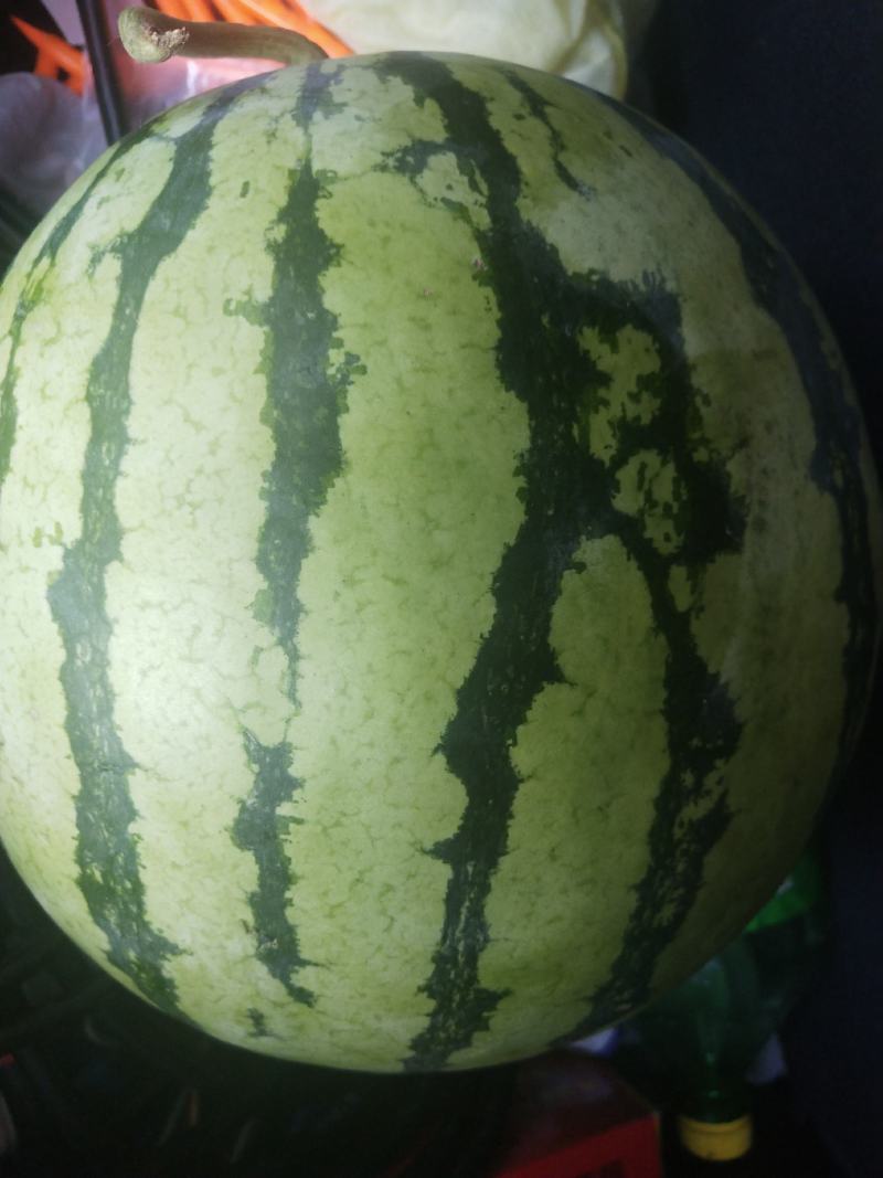 江西赣州于都大量西瓜卖