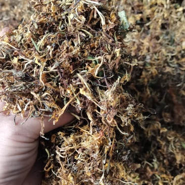 自然晒干无硫野生家种金银花