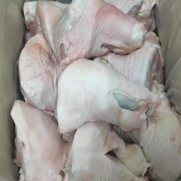 猪前肘后肘全规格