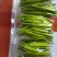 黄花菜