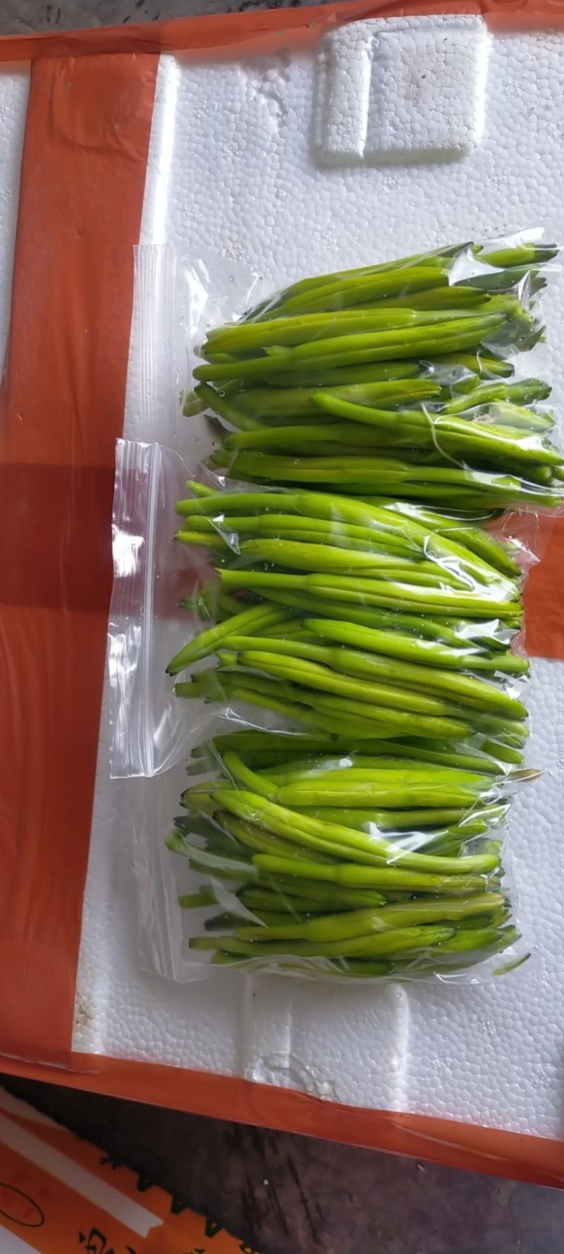 黄花菜