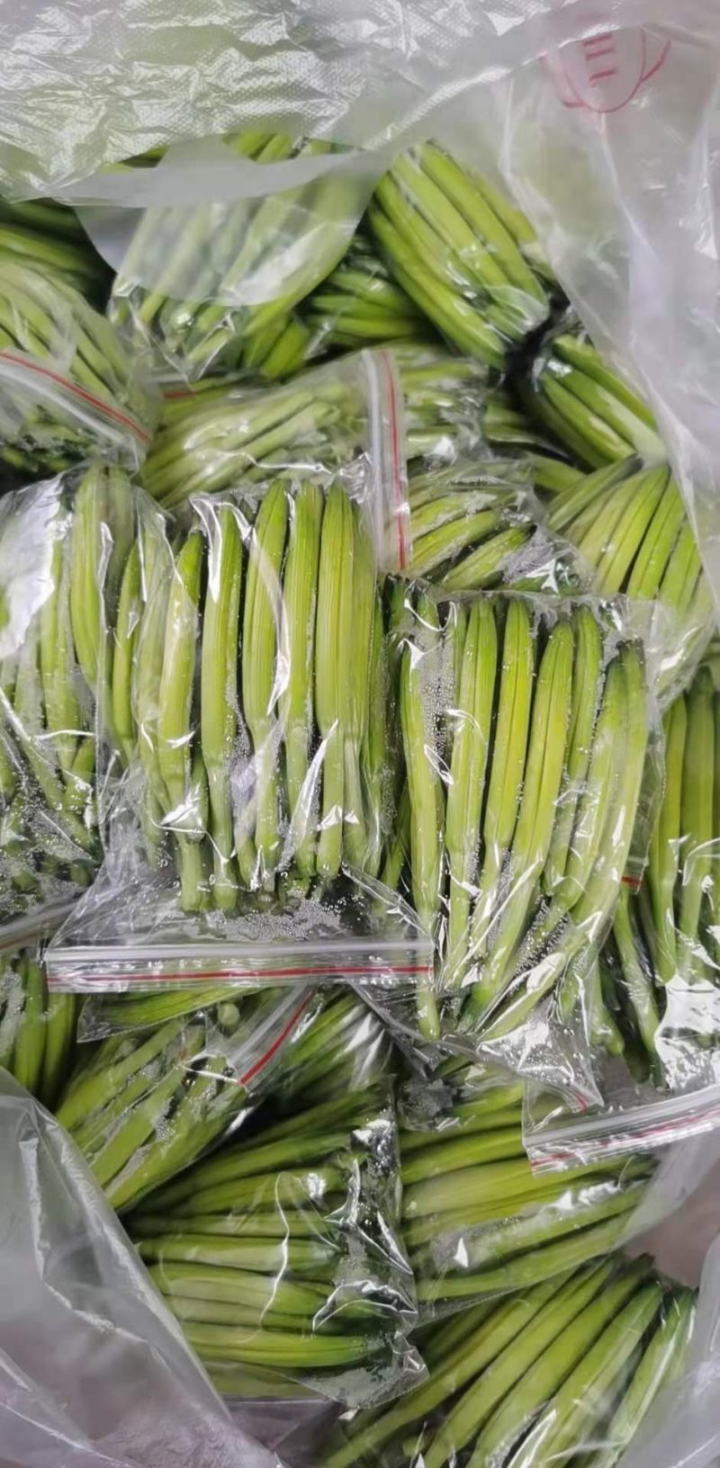 黄花菜