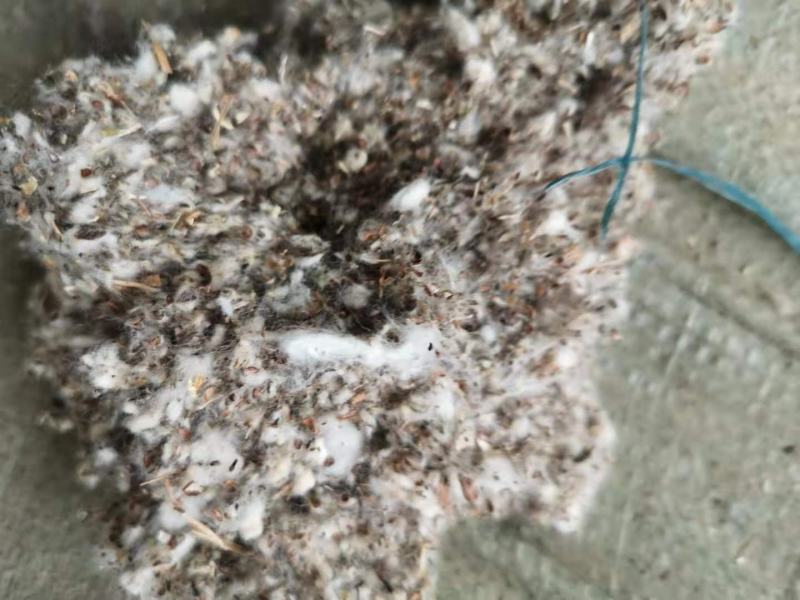 菌需物资玉米芯棉籽壳棉渣稻草麸皮次粉现货