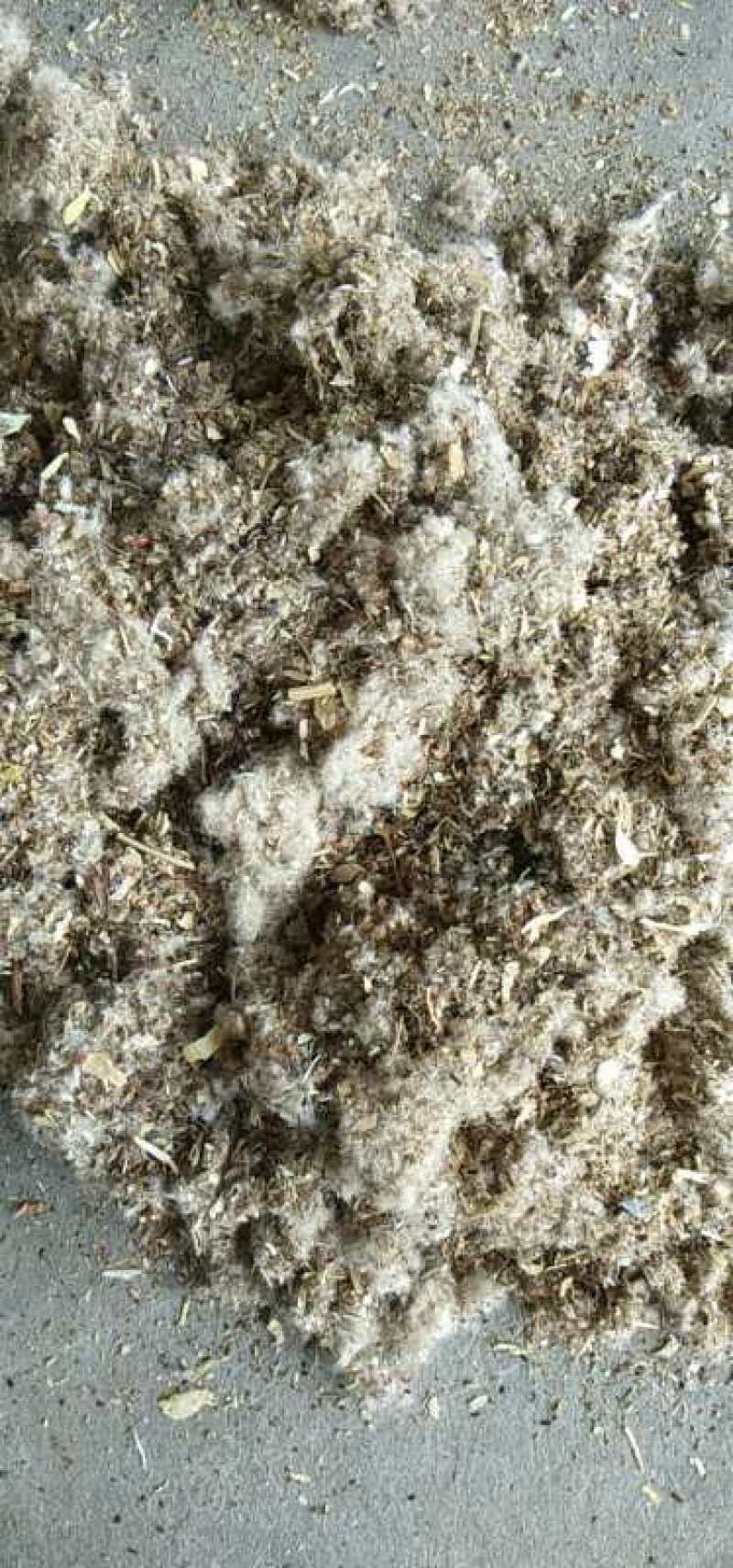 菌需物资玉米芯棉籽壳棉渣稻草麸皮次粉现货