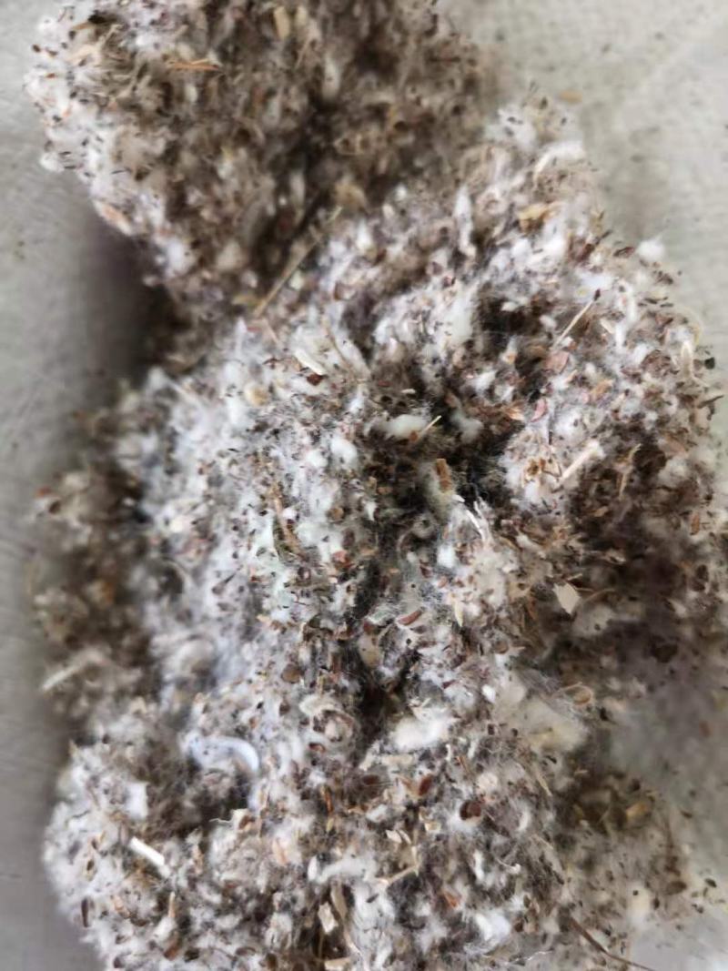 菌需物资玉米芯棉籽壳棉渣稻草麸皮次粉现货
