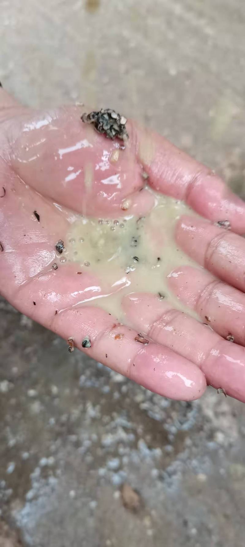 菌需物资玉米芯棉籽壳棉渣稻草麸皮次粉现货