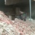 食用菌棉渣草菇平菇原料废棉，机头棉渣子压缩玉米芯