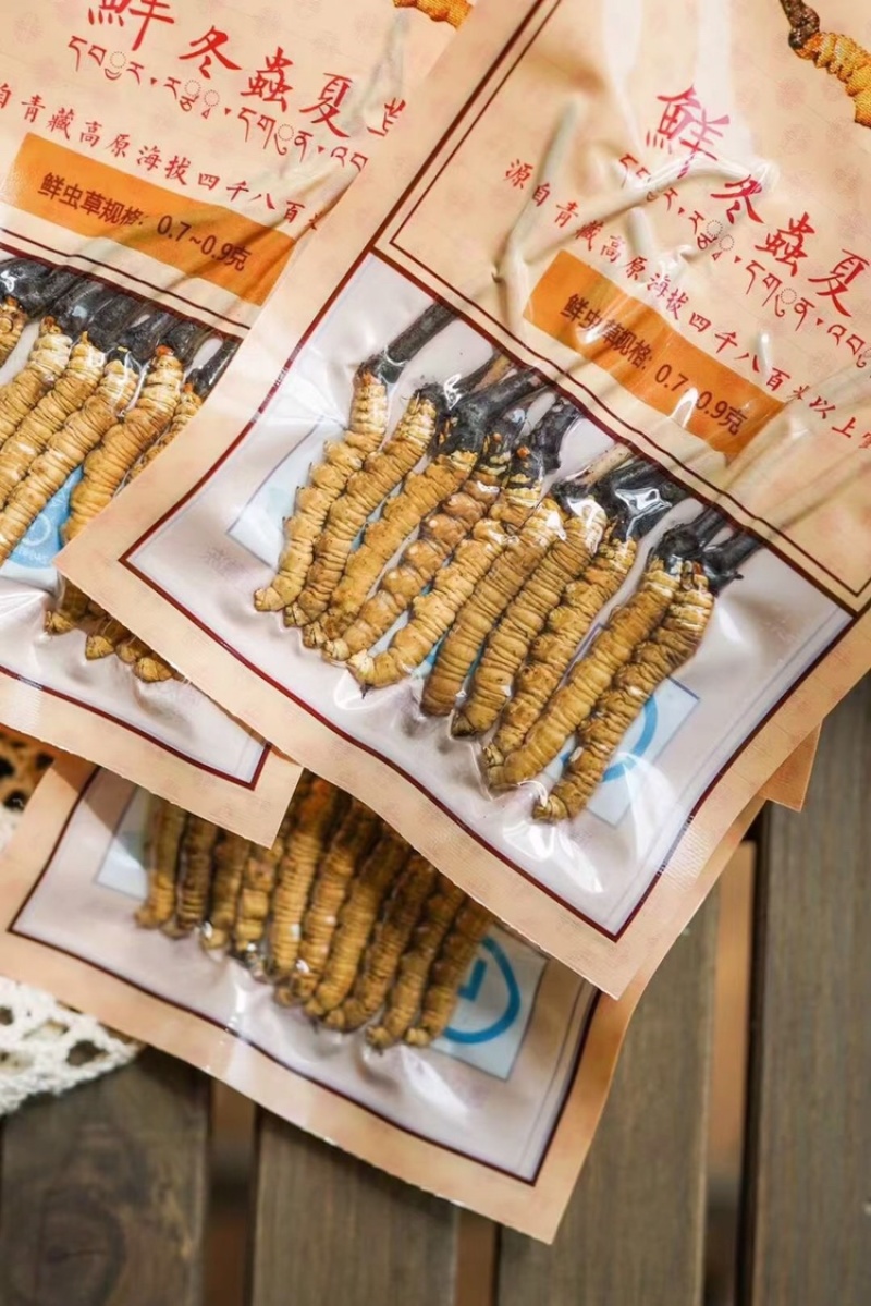 2022新鲜冬虫夏草新鲜虫草青海西宁虫草西藏虫草