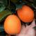 夏橙湖北宜昌秭归县橙子脐橙产地果农自产自销量大优惠