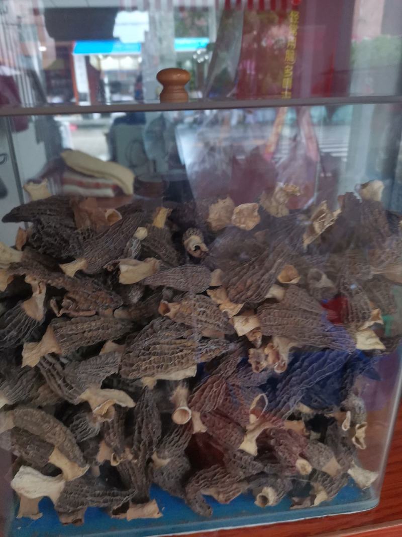 优质云南羊肚菌规格齐全量大从优欢迎惠顾