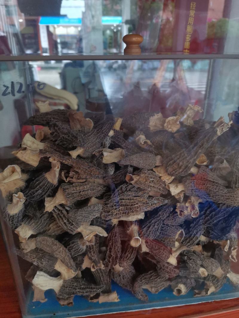 优质云南羊肚菌规格齐全量大从优欢迎惠顾