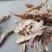 无硫玉兰笋片冬笋片火锅红烧清炖佳品产地直销