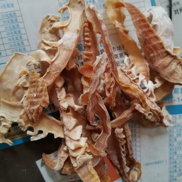 无硫玉兰笋片冬笋片火锅红烧清炖佳品产地直销
