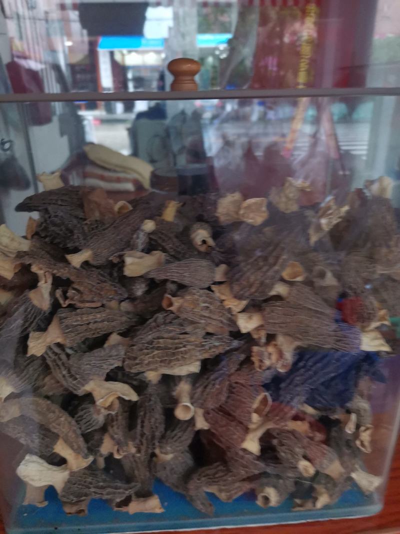 优质云南羊肚菌规格齐全量大从优欢迎惠顾