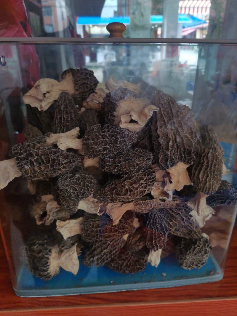 优质云南羊肚菌规格齐全量大从优欢迎惠顾
