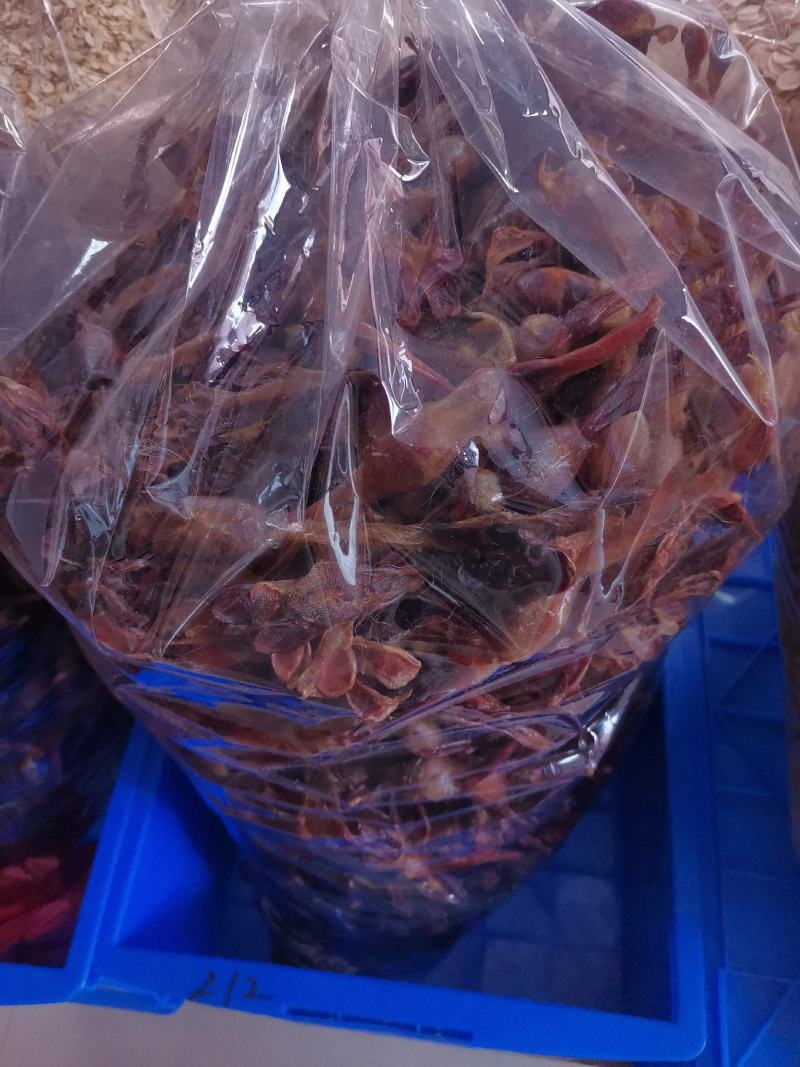 优质狗鞭货干价格实惠量大从优欢迎选购