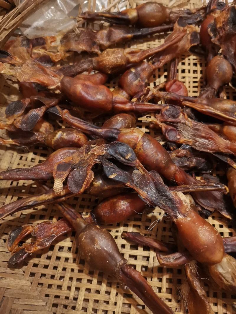 优质狗鞭货干价格实惠量大从优欢迎选购